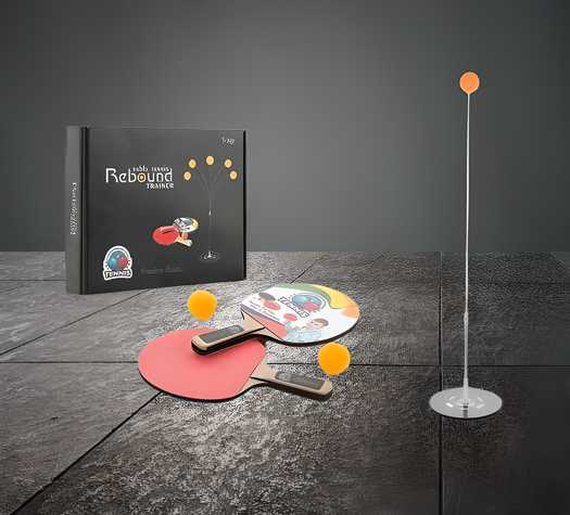 Table Tennis Training Device