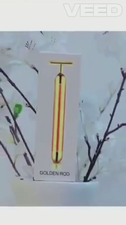 Electric Facial Massage Roller